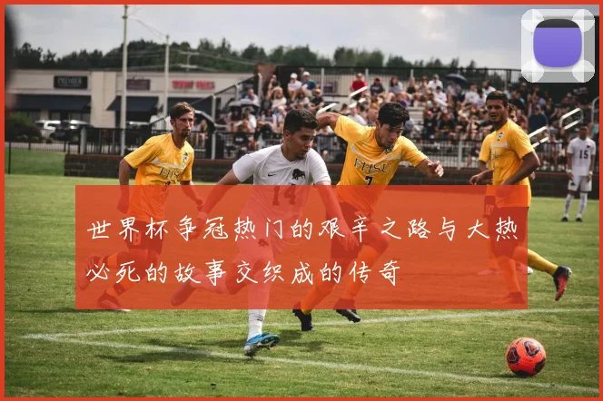 世界杯争冠热门的艰辛之路与大热必死的故事交织成的传奇